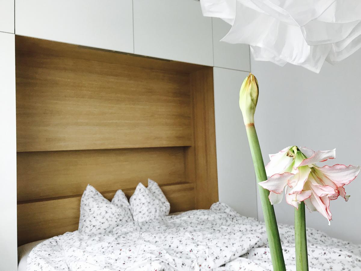 Design Apartment In Park Sofya Dış mekan fotoğraf